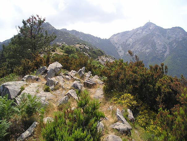 Monte Capanne auf Elba