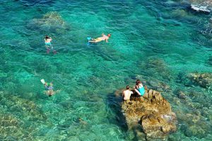 Tauchen auf Elba ist ein großer Spaß