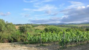 Maremma