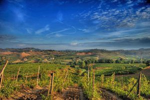 Weinanbagebiet Chianti Toskana- Ferienwohnungen