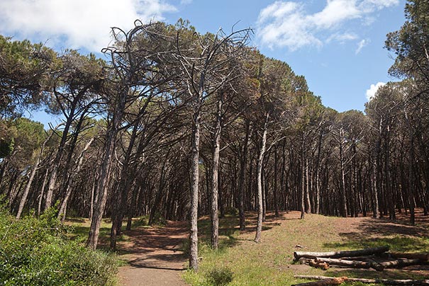 Wandern im Cecina Urlaub