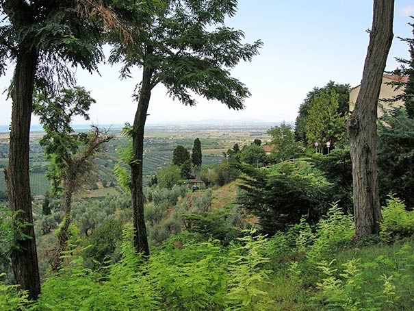 In Castagneto Carducci - Aussichten auf die toskanischen Hügel