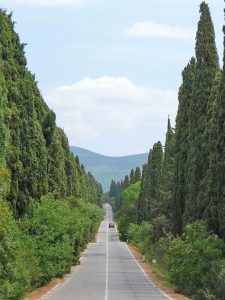 Zypressenallee bei Castagneto Carducci