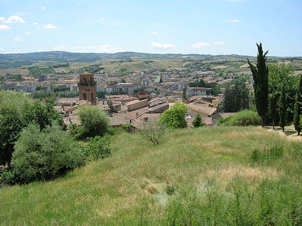Blick über Castelfiorentino