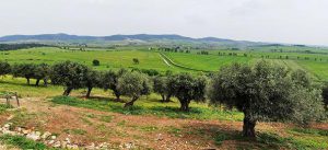 Maremma Landschaft in der Toskana bei Talamone