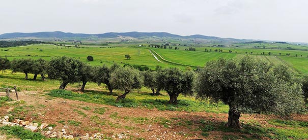 Blick über die Maremma nahe bei Talamona