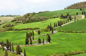 Chianti