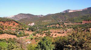 Blick auf die Colline Metallifere