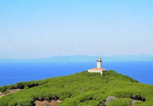 Giglio Leuchtturm