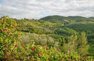 Montefioralle bei Greve in Chianti
