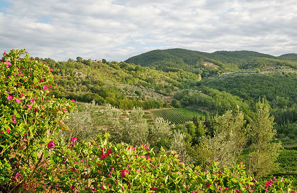 Montefioralle bei Greve in Chianti