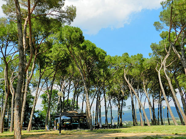 Park Prato in Arezzo