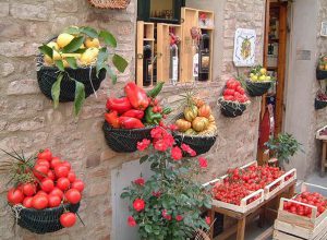 Laden in Casole d'Elsa