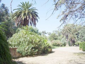 Park der Villa Malenchini in Castiglione della Pescaia