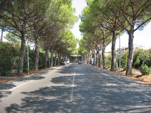Weg zum Strand Cecina Mare