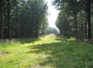 Wanderweg bei Monte Amiata