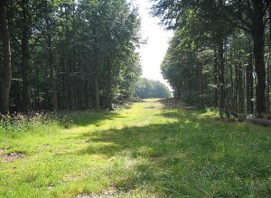 Wanderweg bei Monte Amiata