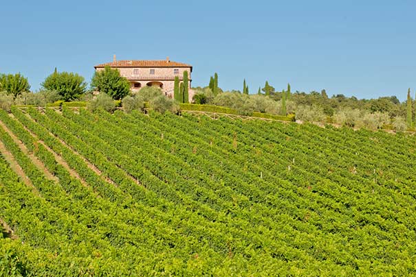 Weingut im Chianti