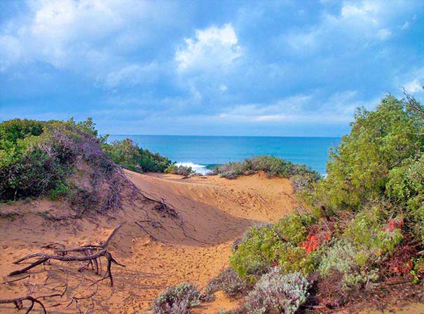 Spiaggia di Rimigliano