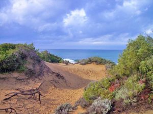 Spiaggia di Rimigliano