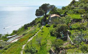Campiglia Marittima Ferienwohnung oder Ferienhaus hier buchen