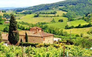 Castellina in Chianti Ferienhaus oder Ferienwohnung hier buchen