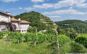 Figline Valdarno Ferienhaus oder Ferienwohnung hier buchen