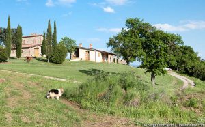 Grosseto Ferienwohnung oder Ferienhaus hier buchen