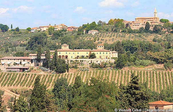 Urlaub in den Weinbergen in Barberino Val d'Elsa