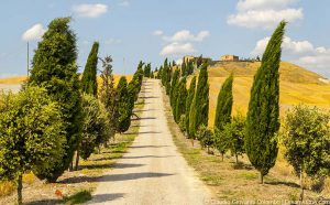 Crete Senesi Ferienhaus oder Ferienwohnung hier buchen
