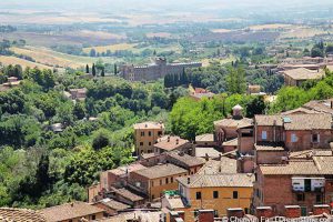Volterra