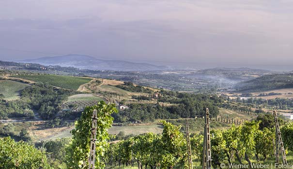 Landschaft bei Montespertoli