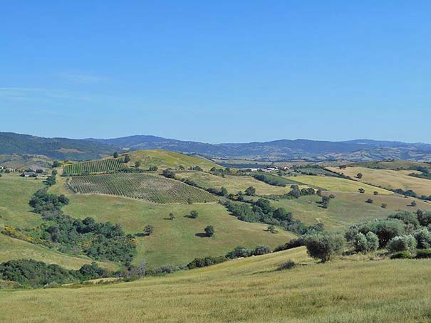 Aussicht auf die toskanischen Hügel bei Cinigiano