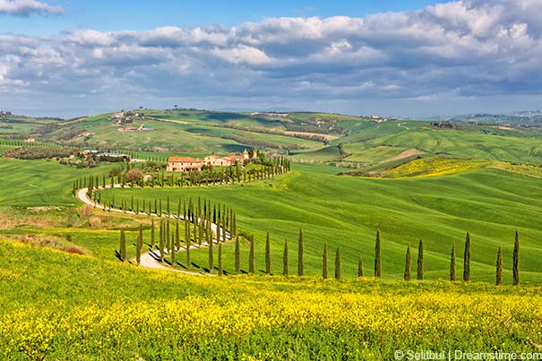 Crete Senesi nahe Ascino