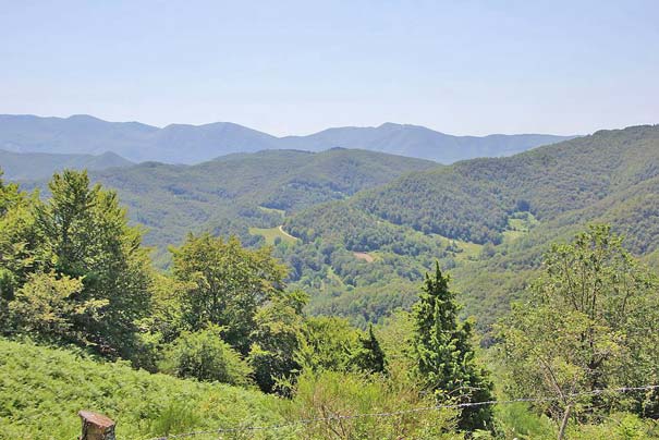 Der Nationalpark Foreste Casentinesi