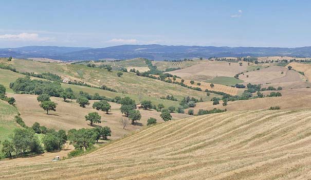 Blick auf Crete Senesi