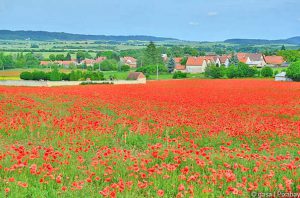 Sehenswertes im Casentino: Landschaft bei Poppi