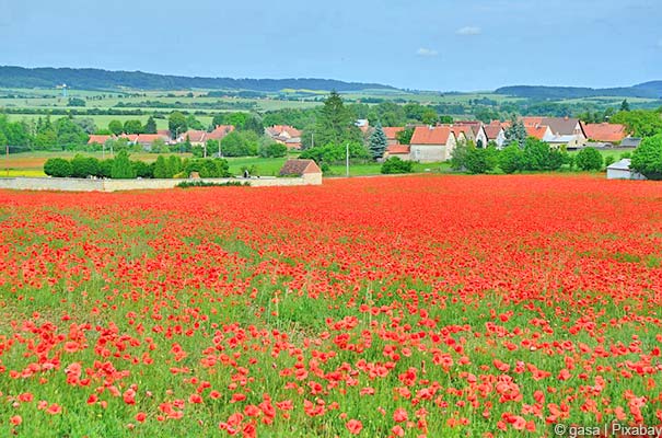 Toskanische Landschaft nahe Poppi