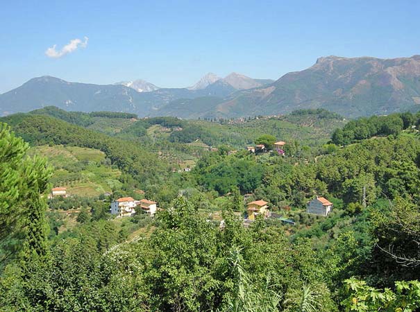 Hügelige Landschaft bei Massarosa