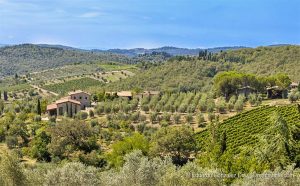 Landschaft bei Rada in Chianti