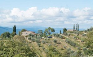 Ferienhaus oder Ferienwohnung in Radda in Chianti
