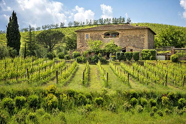 Weingut im Chianti