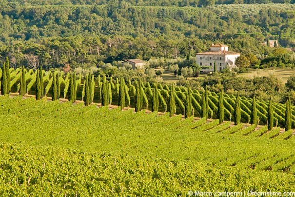 Chianti ist für Chianti-Weine weltweit bekannt.