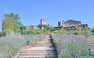 Monteriggioni Ferienhaus oder Ferienwohnung hier buchen
