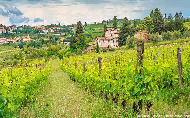 toskana-panzano-in-chianti-weingueter-dt_m_120892192 auf urlaub-toskana.biz