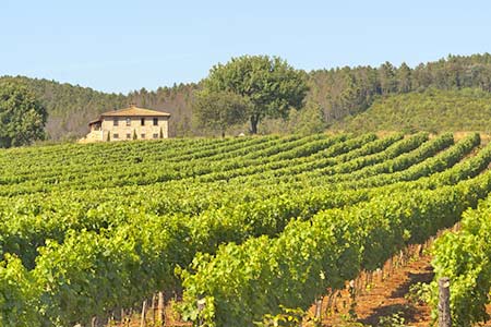 Urlaub auf dem Bauernhof in der Maremma