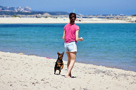 Ferienhäuser für Urlaub mit Hund in Viareggio