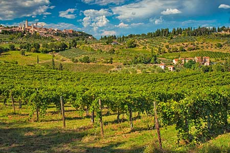 Urlaub auf dem Weingut in San Gimignano