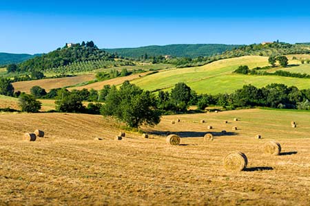 Agriturismo & Urlaub auf dem Bauernhof in Grosseto