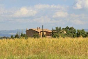 Landhaus in Asciano